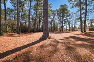 580 Koonce Fork Rd, Richlands, NC 28574 - Photo 45