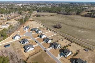 923 Arbor Rose Dr, Greenville, NC 27858 - Photo 45