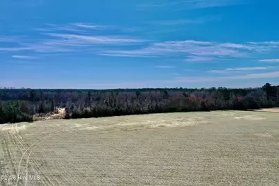 0 Near 2034 Haynes Len Highway, Cerro Gordo, NC 28430 - Photo 3