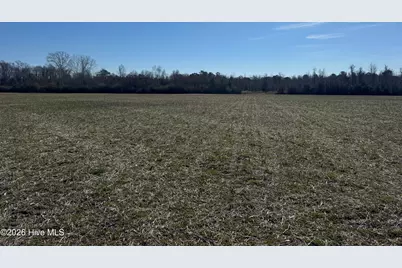 0 Near 2034 Haynes Len Highway, Cerro Gordo, NC 28430 - Photo 11