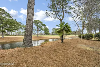 1331 Grandiflora Drive, Leland, NC 28451 - Photo 39