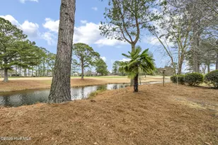 1331 Grandiflora Dr, Leland, NC 28451 - Photo 39