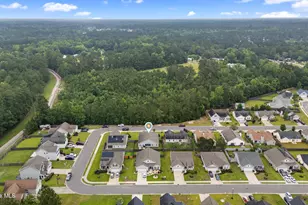 849 Rolling Pines Loop Rd, Leland, NC 28451 - Photo 41
