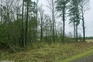 Lots 35-36 Choctaw Trail, Hertford, NC 27944 - Photo 1