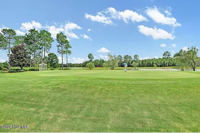 1019 Meadowgrass Lane, Leland, NC 28451 - Photo 77