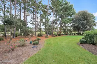 8586 Oak Abbey Trail NE, Leland, NC 28451 - Photo 47