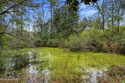 6328 Wrightsville Avenue #D6, Wilmington, NC 28403 - Photo 33