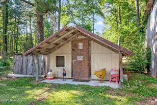 295 Henry Dunn Pickett Rd, Beulaville, NC 28518 - Photo 9