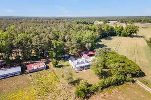 295 Henry Dunn Pickett Rd, Beulaville, NC 28518 - Photo 91