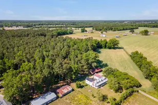 295 Henry Dunn Pickett Rd, Beulaville, NC 28518 - Photo 93