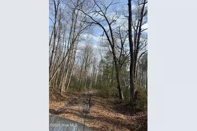 269 Creek Road, Bath, NC 27808 - Photo 7