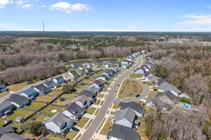 63 Thrush Trail, Hampstead, NC 28443 - Photo 59
