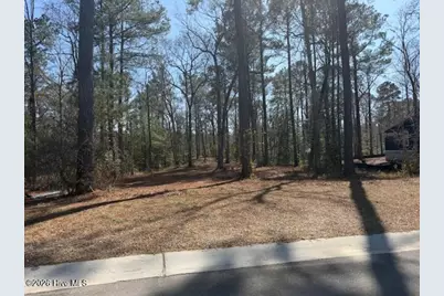 3695 River Park Way NE, Leland, NC 28451 - Photo 1