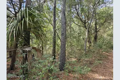5 Musket Court, Bald Head Island, NC 28461 - Photo 3