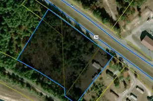 1918 U S 74 Business Hwy, Hamlet, NC 28345 - Photo 1