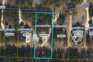 402 Longleaf Dr, West End, NC 27376 - Photo 13