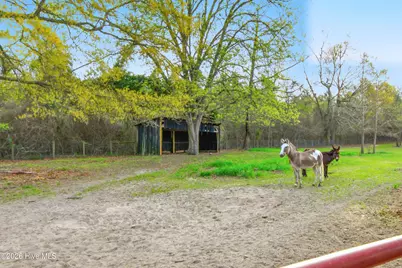 449 Montrose Road, Raeford, NC 28376 - Photo 47