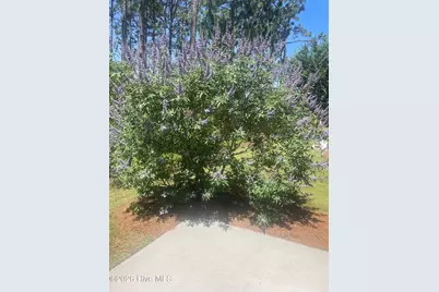 1136 Snowden Road, Wilmington, NC 28412 - Photo 17