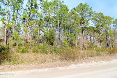 2890 Bird Drive SW, Shallotte, NC 28470 - Photo 1