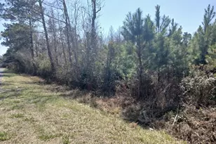 390 Chadwick Acres Road Rd, Sneads Ferry, NC 28460 - Photo 1