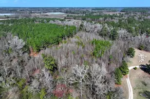 8 3 Acres Glory Light Rd, Fairmont, NC 28340 - Photo 1