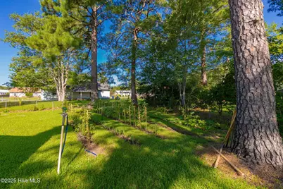 114 Wolfpack Court, Havelock, NC 28532 - Photo 15