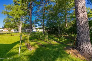 114 Wolfpack Ct, Havelock, NC 28532 - Photo 15