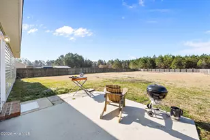 210 Tall Tree Court, Maysville, NC 28555 - Photo 41