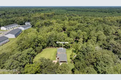 151 Pansy Lane, Hampstead, NC 28443 - Photo 63