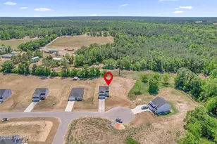 285 Buggy Top Ln, Autryville, NC 28318 - Photo 3