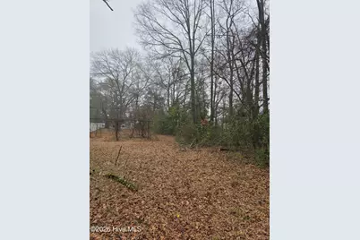 Tbd S Caroline, Rockingham, NC 28379 - Photo 11