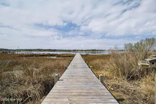 161 Big Hammock Point Rd, Sneads Ferry, NC 28460 - Photo 47