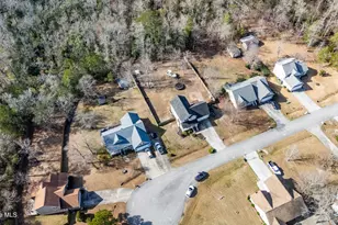 120 Quarter Horse Run, Havelock, NC 28532 - Photo 39
