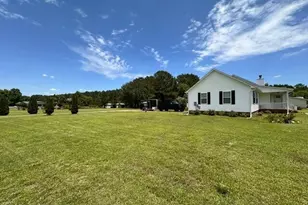 22 Old Mill Rd, Willard, NC 28478 - Photo 3