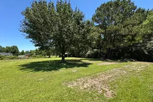 22 Old Mill Rd, Willard, NC 28478 - Photo 5