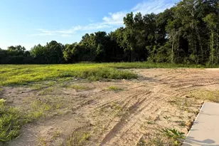 110 Palo Alto Park Dr, Maysville, NC 28555 - Photo 33