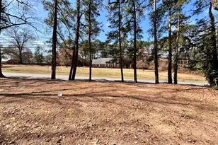 900 Beaman St, Clinton, NC 28328 - Photo 31