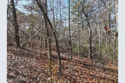 95 Bridle Path Circle, Pinehurst, NC 28374 - Photo 15