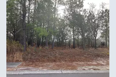 3059 Boverie Street SW, Shallotte, NC 28470 - Photo 9