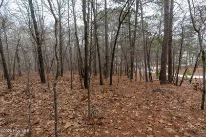 102 Ramsgate Court, Seven Lakes, NC 27376 - Photo 3