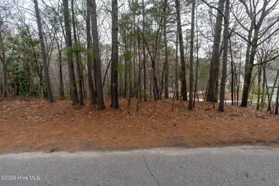102 Ramsgate Court, Seven Lakes, NC 27376 - Photo 5