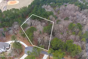 102 Ramsgate Ct, Seven Lakes, NC 27376 - Photo 1
