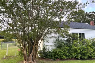 167 Lake Rd, Newport, NC 28570 - Photo 79