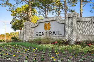 133 Avian Dr, Sunset Beach, NC 28468 - Photo 45