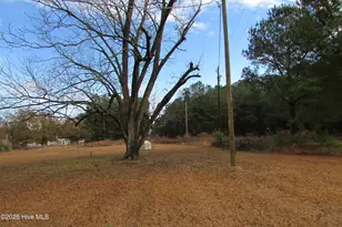 8401 Boykin Bridge Rd, Clinton, NC 28328 - Photo 7
