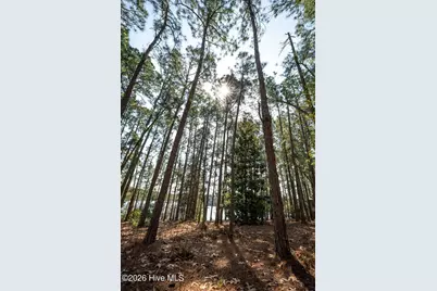 13 Abington Drive, Pinehurst, NC 28374 - Photo 15