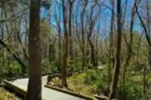 1147 Natal Dr SE, Bolivia, NC 28422 - Photo 47