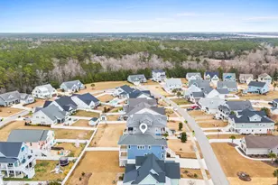 367 Spicer Lake Dr, Holly Ridge, NC 28445 - Photo 49