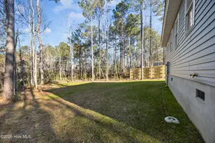 314 Pond View Ct, Hampstead, NC 28443 - Photo 29