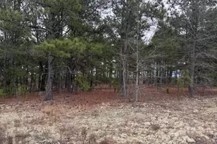 138 Batton Rd, Hamlet, NC 28345 - Photo 1